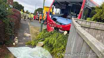 'It was genuinely awful': Mum describes moment bus crashed into North East garden