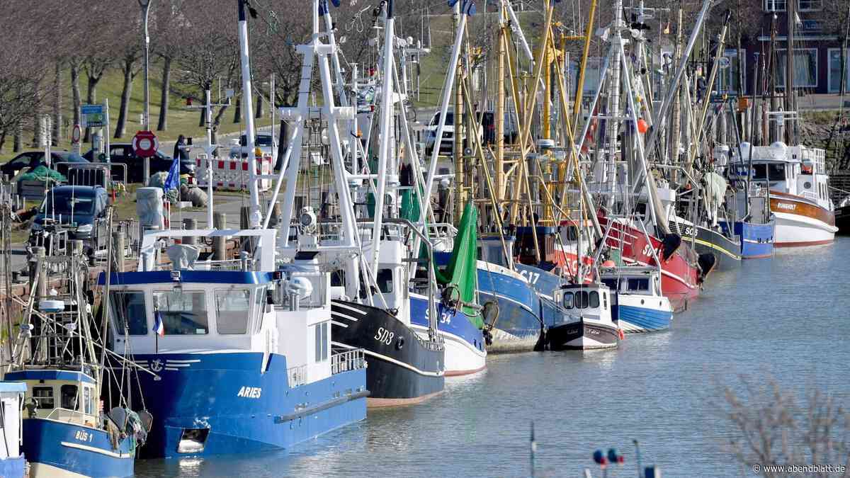 Nordsee ohne Fischfang: Für WWF und Nabu ist die geplante Schutzzone zu klein