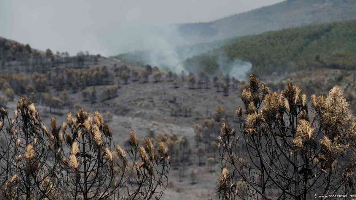 Spanien: Großer Waldbrand bei Madrid außer Kontrolle