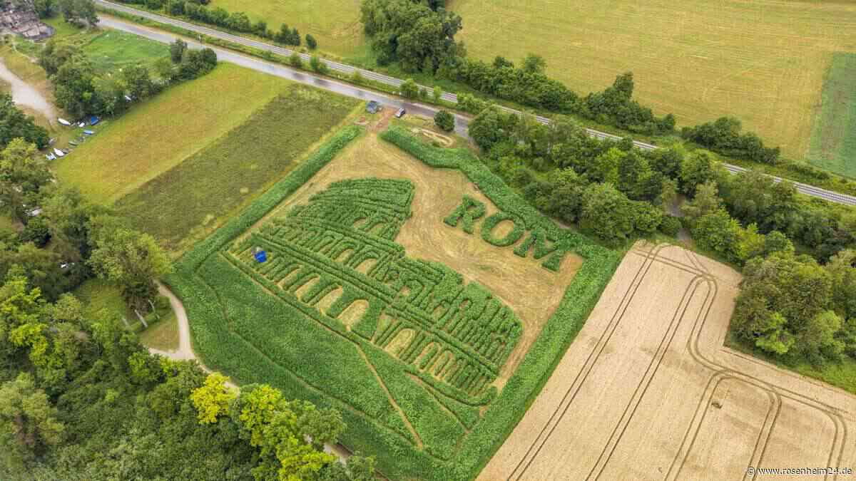 Verlaufen ausdrücklich erwünscht: Dieser Irrgarten in Oberbayern ist gigantisch