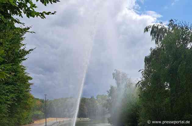 FW-BO: Technischer Betrieb der Stadt Bochum und Feuerwehr Bochum verhindern Fischsterben in Regenrückhaltebecken