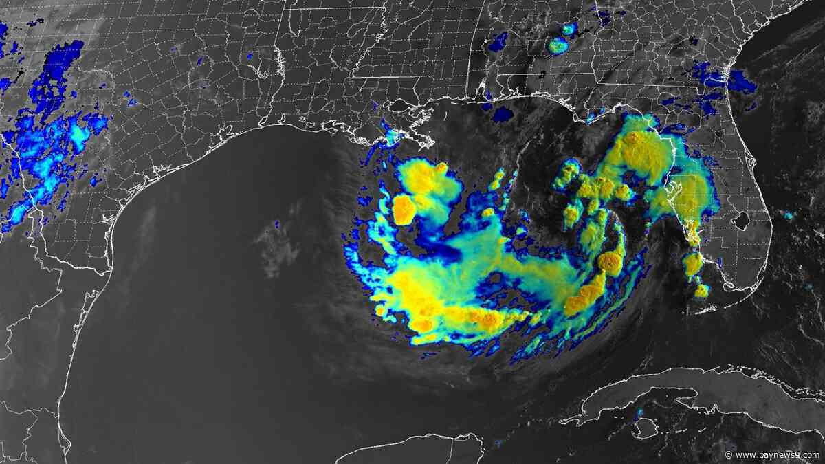 Tropical development likely in the Gulf