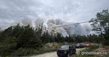 Wildfire northeast of Halifax being held, N.S. officials say