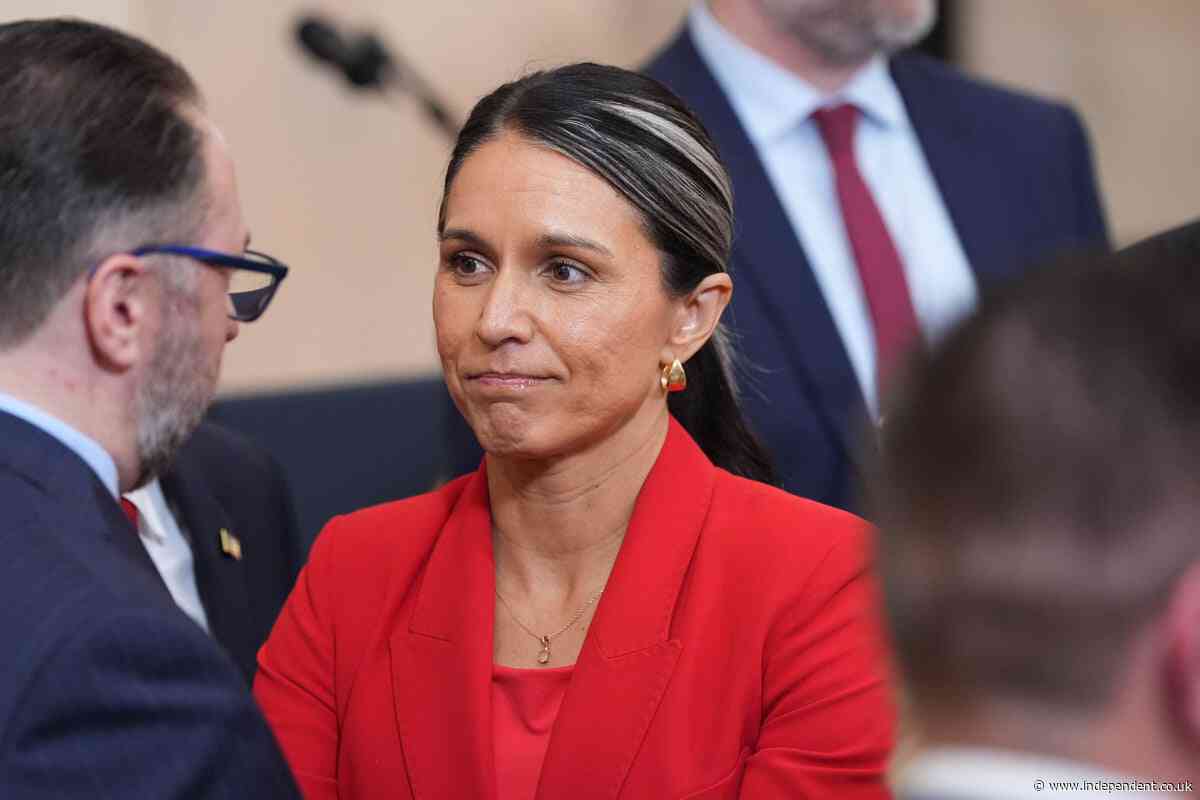 Tulsi Gabbard’s brother accused of trying to lure children to his Hawaii hotel room with cash and gum: police