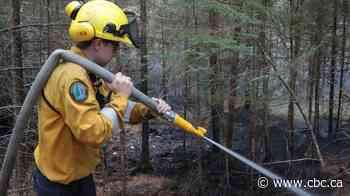 N.S. says Eastern Shore wildfire now being held, residents can return home