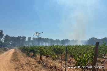 Un hectare de végétation détruit par le feu à La Londe