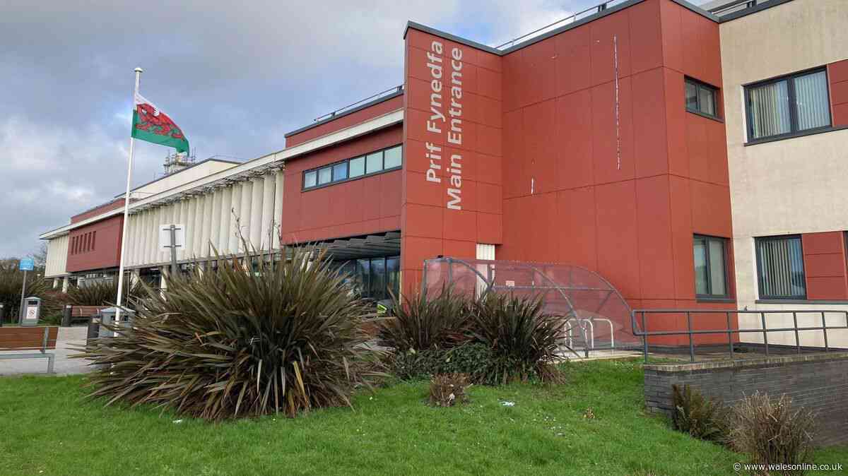 Woman hunted by police dogs, drones, and helicopter found hiding in hospital ceiling