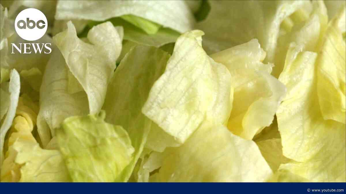 Iceberg lettuce sample from Taylor Farms tests positive for cyclosporiasis parasite