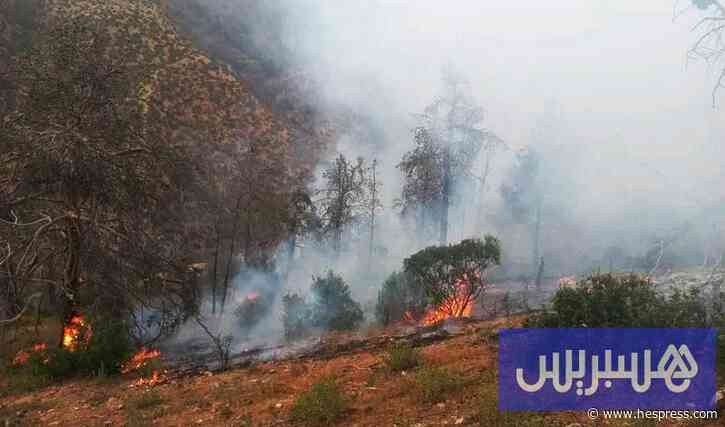 بعد خمسة أيام.. السلطات تطوق "حريق أوناين" وتو