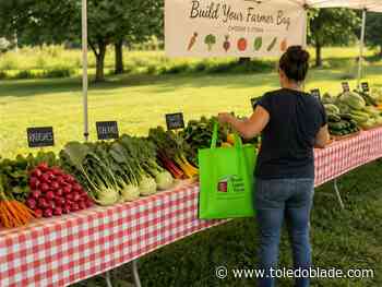 Farmer’s Bag offers local answer to produce fears