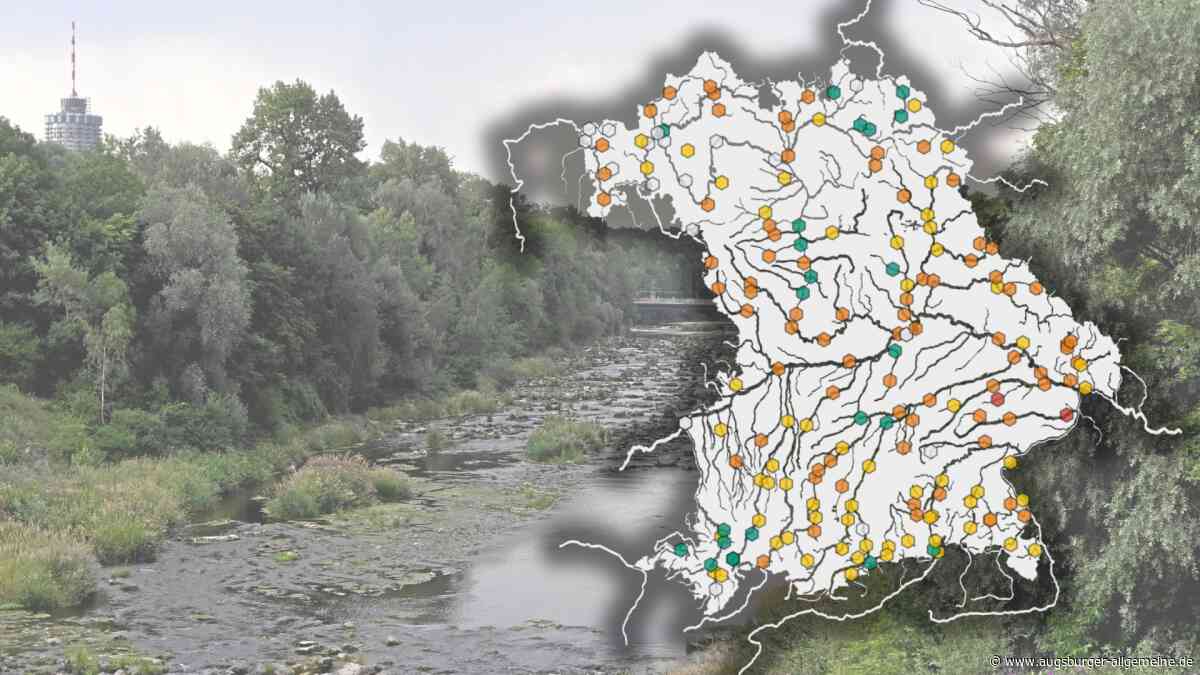 Einige führen so wenig Wasser wie noch nie: Das macht die Dürre mit Bayerns Flüssen