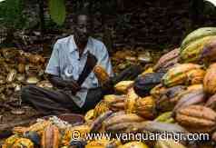 Can Agriculture Replace Crude? Experts reveal path to Nigeria’s export revival