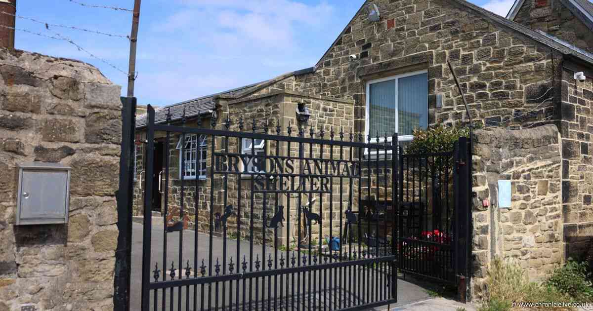 Inside the 79 year old Gateshead Animal Shelter which desperately needs new kennel block