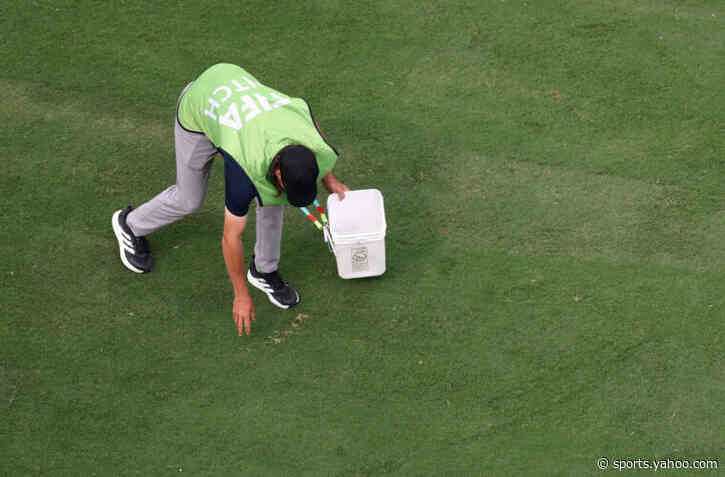 FIFA and New Jersey clash over plan to sell the grass at MetLife Stadium