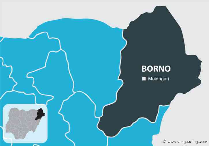 FG dismisses report of ISWAP attack on Girls College in Monguno