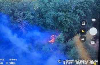 FW-PL: Ortsteil Tanneneck - Waldbrand fordert viele Einsatzkräfte