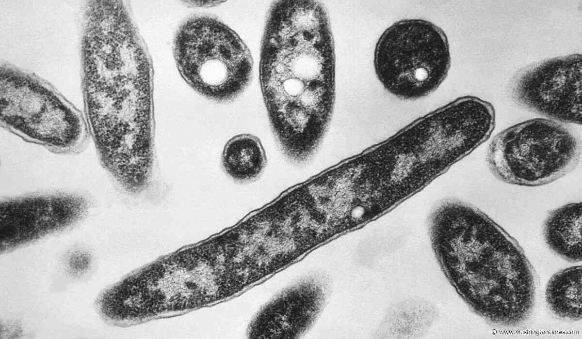 Second death reported in Legionnaires' disease outbreak in New York City