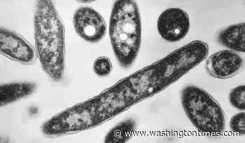 Second death reported in Legionnaires' disease outbreak in New York City