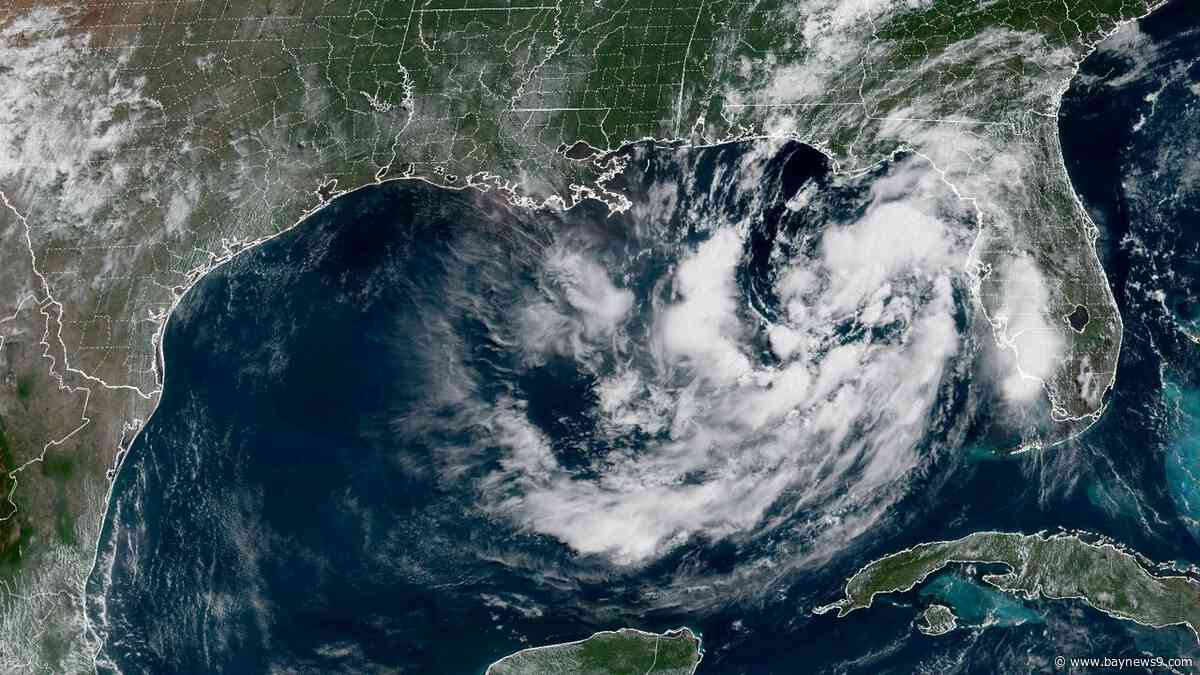 Tropical Depression #2 forms in the Gulf