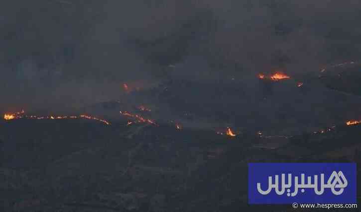 الحر يؤجج النيران بالغابات الجزائرية