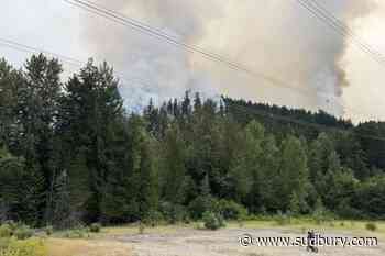 BC Wildfire Service says fire near Pemberton, B.C. is now being held