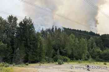 BC Wildfire Service says fire near Pemberton, B.C. is now being held