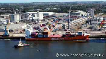 Onlooker describes 'horrific' Port of Tyne incident scene as one person taken to Newcastle RVI