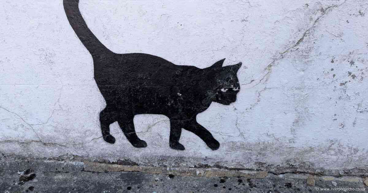 Parts of Liverpool area are a 'bit run down' but mysterious murals are making a difference