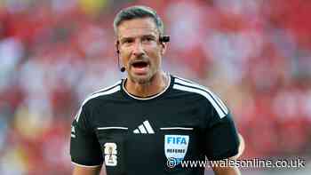Spain v Argentina ref Slavko Vincic was caught up in police raid before World Cup call