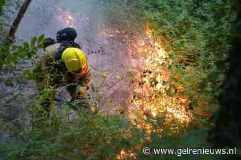 Vlammen en veel rook bij brand in bosperceel
