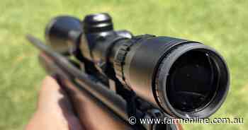 National gun buyback falters, farmers set to face state border confusion