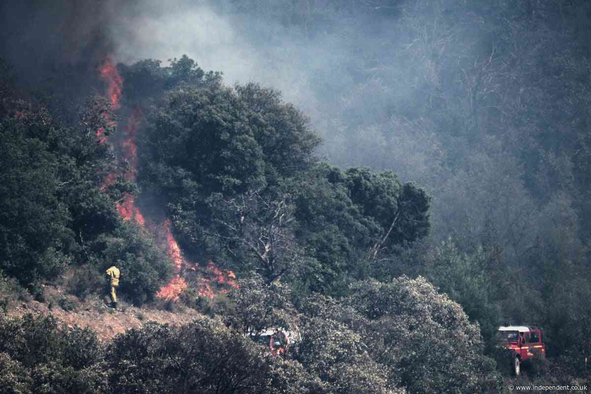 Parts of France’s Mediterranean coast evacuated as wildfires spread