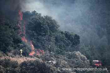 Parts of France’s Mediterranean coast evacuated as wildfires spread