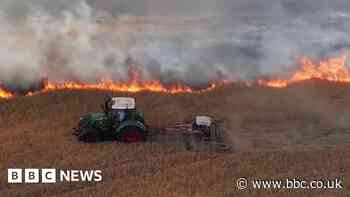 Four teenagers arrested over suspected field arson