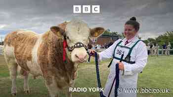 Highlights from the Great Yorkshire Show 2026