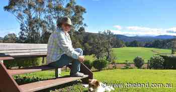 'I don't know if I want to keep fighting this hard': Bodalla exodus flags dairy woes