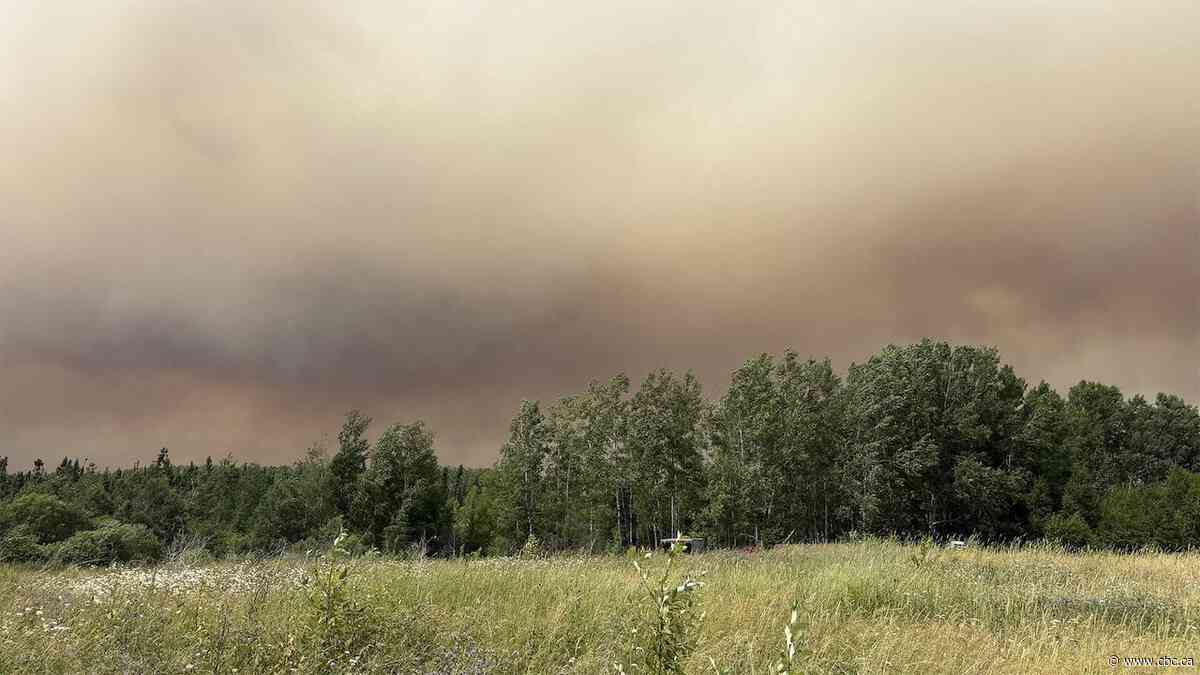 Get the latest on the wildfire response in northwestern Ontario