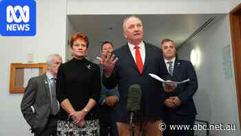 Live: Joyce says One Nation doesn't support White Australia policy