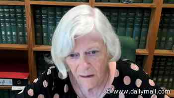 Ann Widdecombe murder suspect 'had newspaper clippings about Nigel Farage and Reform UK pinned to walls in his house'