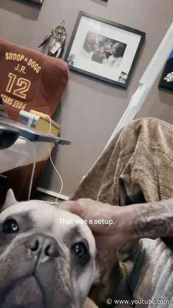 DOGG GONE Ep5: Home Sweet Home