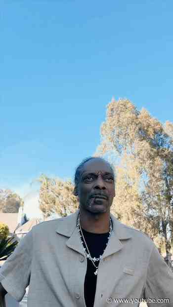 DOGG GONE Ep4: Lost Bestfriend