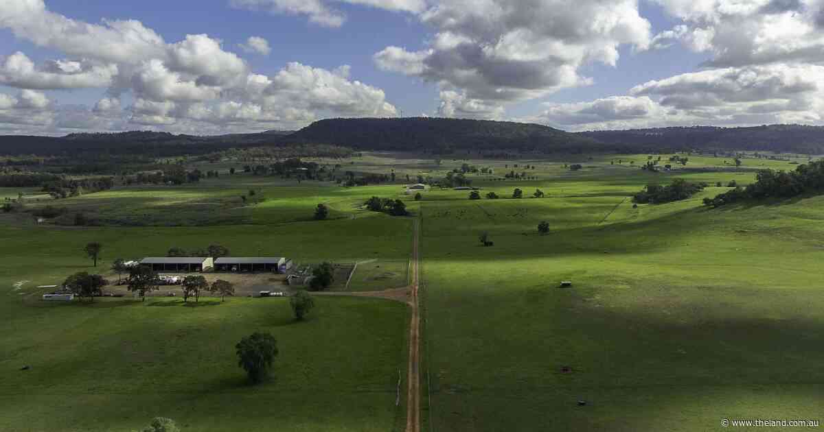 Irrigated livestock backgrounding operation with 560 megs of water | Video