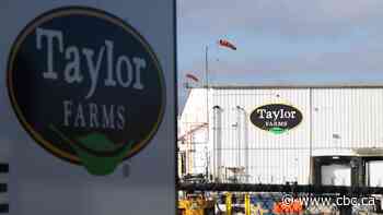 U.S. recalls lettuce linked to diarrhea-causing outbreak