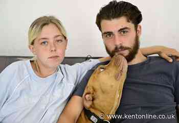 ‘We’ve been put through hell’: Couple faced eviction in support dog dispute