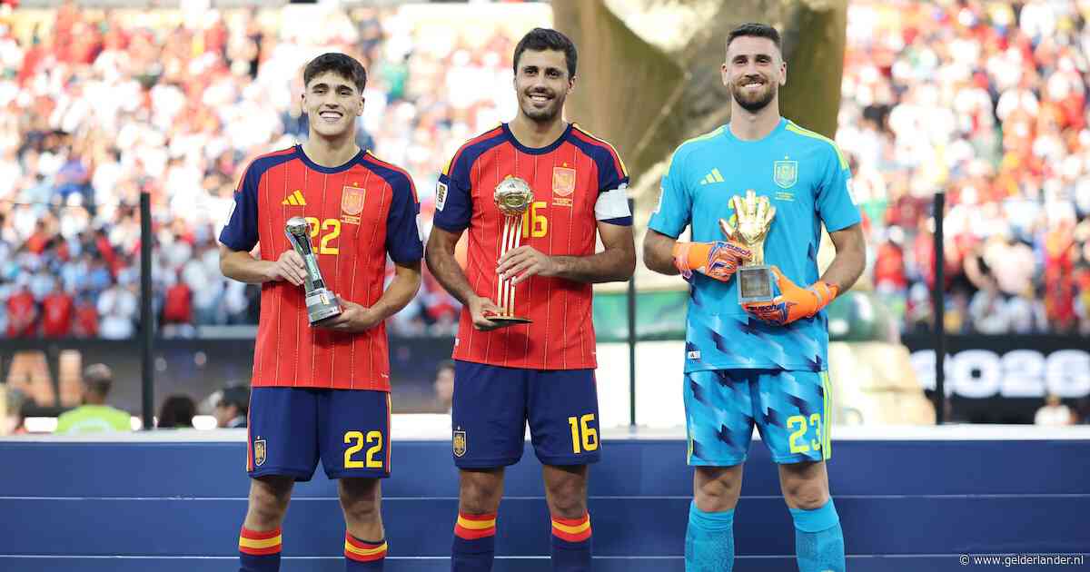 Individuele prijzen voor Spaanse spelers, Fair Play Award voor Nederlands elftal