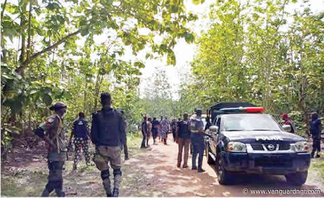 Forest security, mineral resources and food security