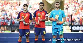 Individuele prijzen voor Spaanse spelers, Fair Play Award voor Nederlands elftal