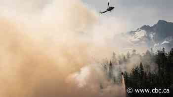 Evacuation alert rescinded after wildfire near Pemberton, B.C., held