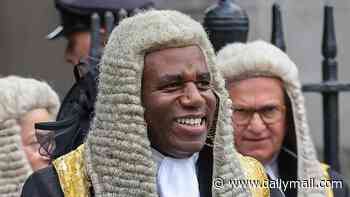 Lammy's ministry paid £176,000 to social media influencers to promote Labour policies - including soft justice measures