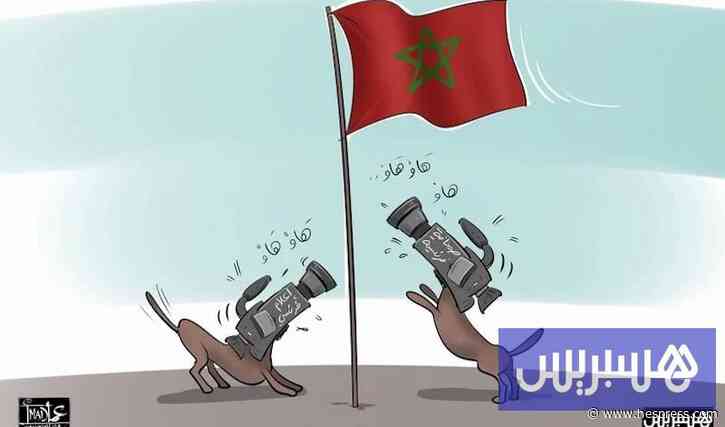 محاولات تشويه المغرب .. لماذا تتكرر الحملات عند الاحتفاء بالإنجازات؟